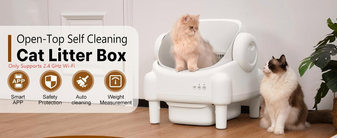 How to Train Your Cat to Use an Automatic Litter Box (PawLux Pro Tips!)