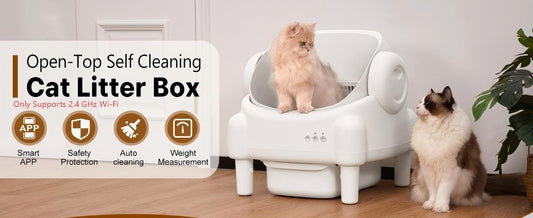 How to Train Your Cat to Use an Automatic Litter Box (PawLux Pro Tips!)