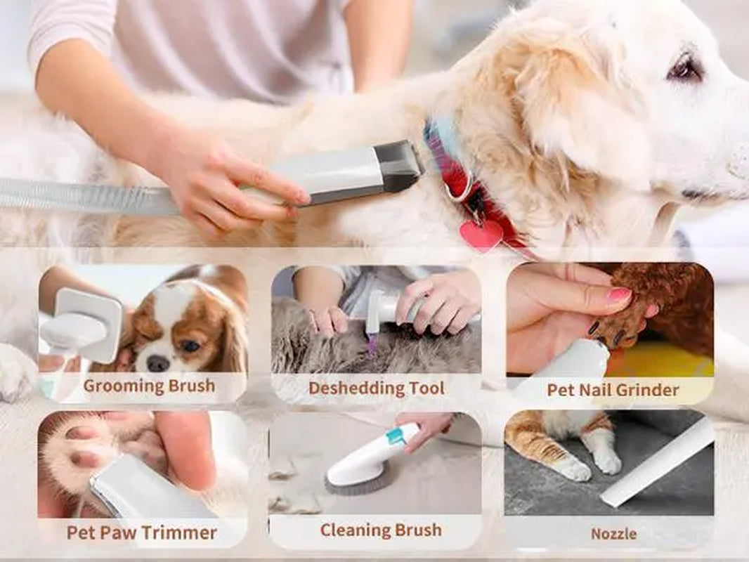 Ultimate 7-In-1 Pet Grooming Vacuum for Dogs & Cats – Effortless Grooming with Multi-Pack Attachments and Low Noise Design